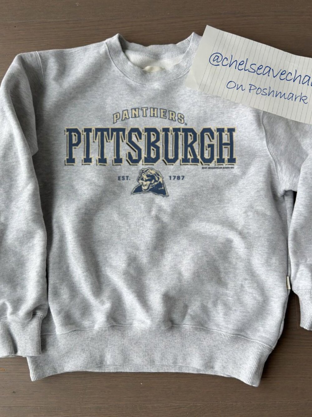 Vintage University Of Pittsburgh Panthers Sweatshirt, Pittsburgh Panthers Shirt